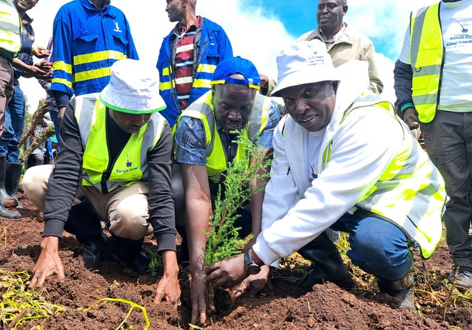 MD & CEO, Dr. (Eng.) Siror planting a tree in Metipso forest, Baringo County to mark the #NationalTreePlantingDay. He was assisted by GM Supply Chain Dr. Ngeno (left) and Eng. Kibias Kipkemoi (right).